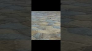 VID_20241010_144142.mp4