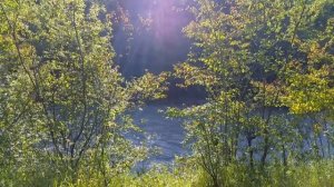 Одиночество | Loneliness | Марина Валиева. Премьера клипа.