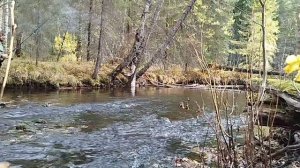 3.Отпуск закончился...снимаем капканы для ближней переустановки...