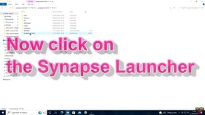 HOW to install Synapse X (Roblox Tutorial)