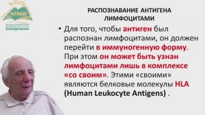 Механизм адаптивного иммунного ответа (БИК 11)