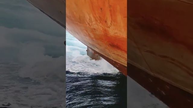 CLOSE-UP😱 Spinning Ship Propeller From Large Ship #short #shipspotting