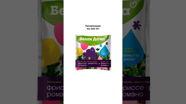 Мы с заботой упаковали наши любимые салатные бестселлеры. #салатыбелаядача #айсберг