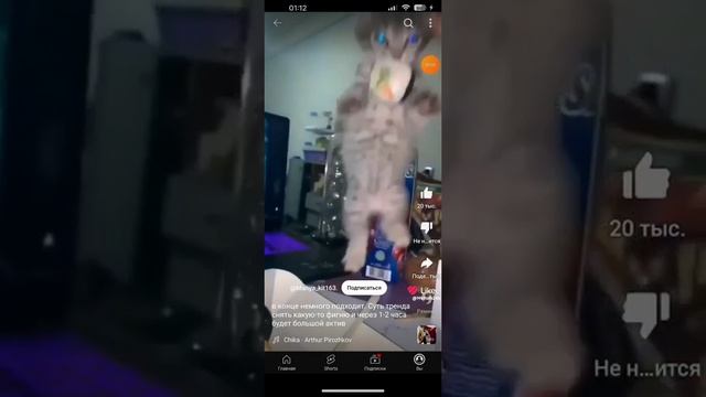 смешные видео из ютуба смотреть онлайн