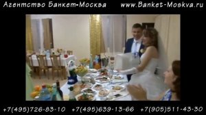 Ведущая Лара, ведение свадьбы