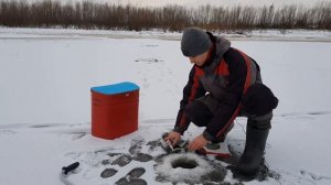 Лучшая прикормка на окуня и ерша. Первый лёд, давно ТАКОГО не было!