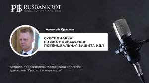 Алексей Краснов. Субсидиарка: риски, последствия, потенциальная защита КДЛ