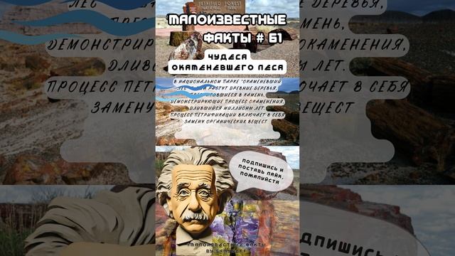 Чудеса окаменевшего леса |Малоизвестныефакты|2сезон| #61