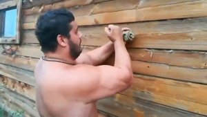 Забивание гвоздя в стену деревянного сруба.Халаджи.Д