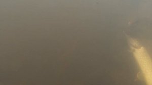 Что может свич 3часть