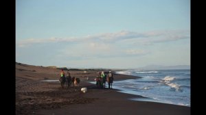 Халактырский пляж. Halaktyrsky beach