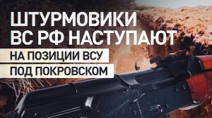 Как штурмовики ВС РФ продвигаются на западном направлении в ДНР