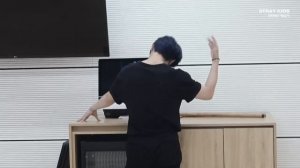 INTRO от Stray Kids к альбому «IN生 (IN LIFE)»
