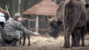 14 октября – День работников заповедного дела