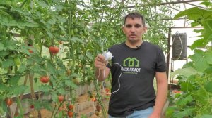 Ролик с кронштейном для подвязки растений