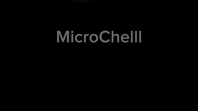 Никита Берг и Роменский