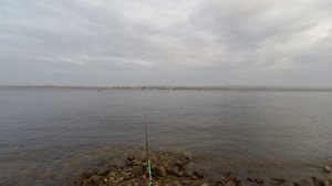 Моркваши ловля фидером на мороженую тюльку