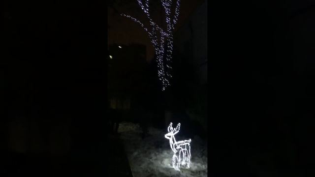 Новогоднее Офорление