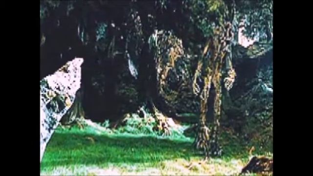 Fairytale forest смотреть онлайн