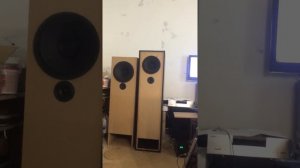 Новая акустика на базе 150ГДШ35-8. Труба Войта