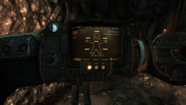 Прохождение Fallout New Vegas Extended Edition #37 ДЛС Сердца Подготовка