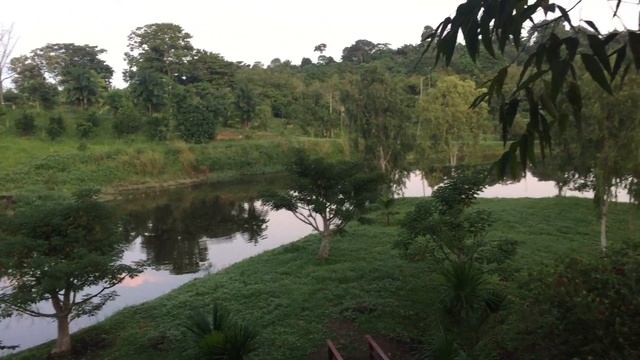 EXPERIENCE TRINIDAD (La Vega Edition) | Tersha Singh смотреть онлайн