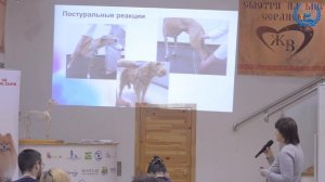 Курганская Н. И. и Карпов К. С. в УЦ «Зоовет» | ч. 2