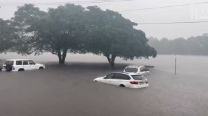 Проколы года