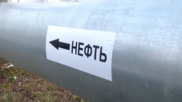 Портрет нефтяника. Ильнур Ибрагимов