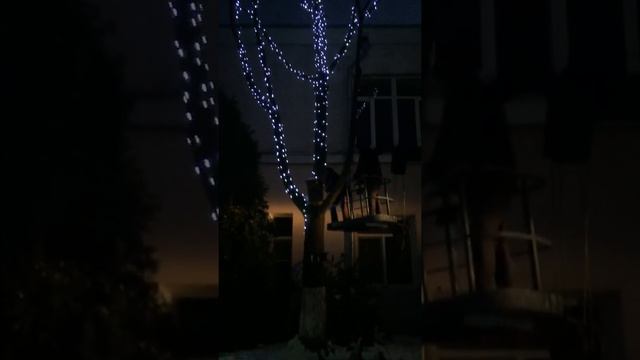 Подсветка деревьев