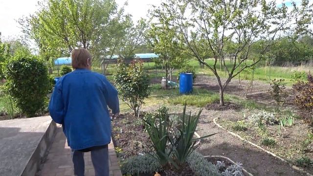 Прогуляемся. Кубань. Гостагаевская. Анапа