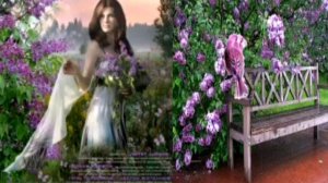 Валентина Толкунова  Ах сирень-сиренюшка