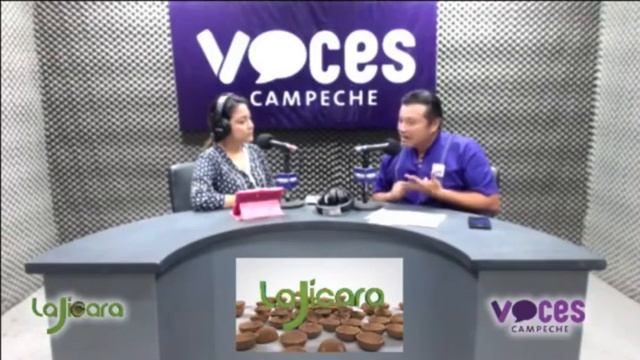 Entrevista Jak Valle; Voces Campeche смотреть онлайн