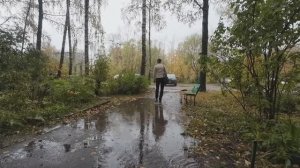 Хроника в городе. Октябрь 2024 год.