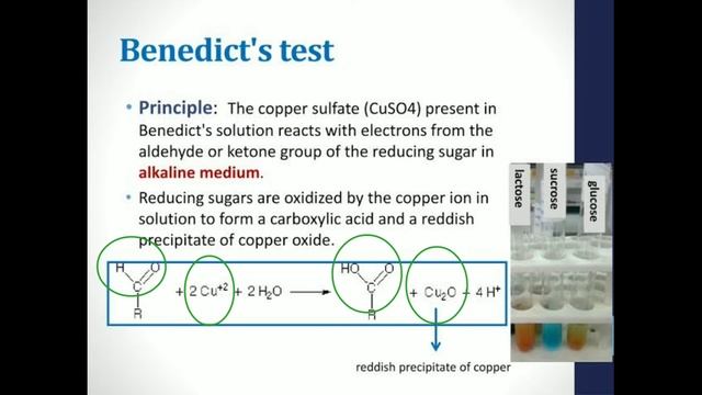 Benedict's Test || Very Easy ||Hurrah😄 | #labtested #neet2022 #biochemistry смотреть онлайн
