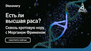 СКВОЗЬ КРОТОВУЮ НОРУ С МОРГАНОМ ФРИМЕНОМ: ЕСТЬ ЛИ ВЫСШАЯ РАСА? | DISCOVERY