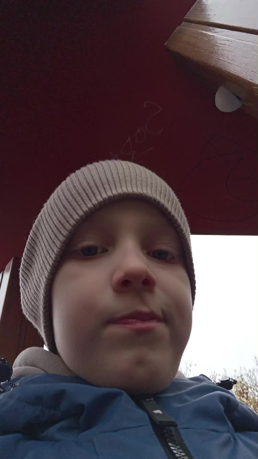 л