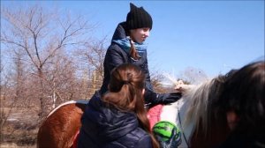 проект "Доктор лошадь"-наш первый проект, получивший грантовую поддержку на форуме "Амур".