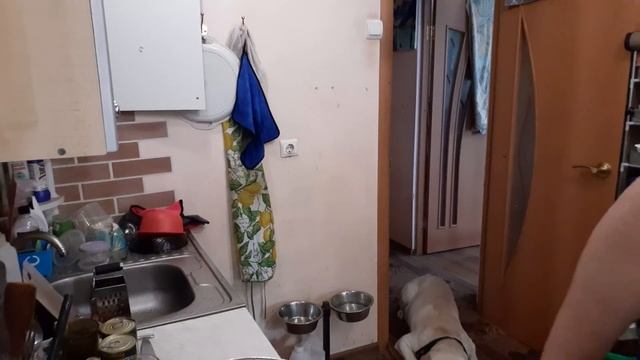 Сгорела на работе♀️Мясная Солянка Мукбанг