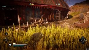 Прохождение Assassin's Creed: Valhalla — Часть 6: Обмен