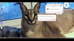 windows 8.1 crazy error preview 2