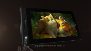 Huion KAMVAS PRO 13