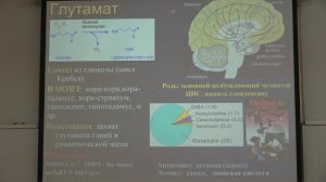 7. Управление вегетативными рефлексами. Физиология человека и животных - Ловать М. Л. Teach-in.