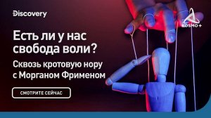 СКВОЗЬ КРОТОВУЮ НОРУ С МОРГАНОМ ФРИМЕНОМ: ЕСТЬ ЛИ У НАС СВОБОДА ВОЛИ? | DISCOVERY