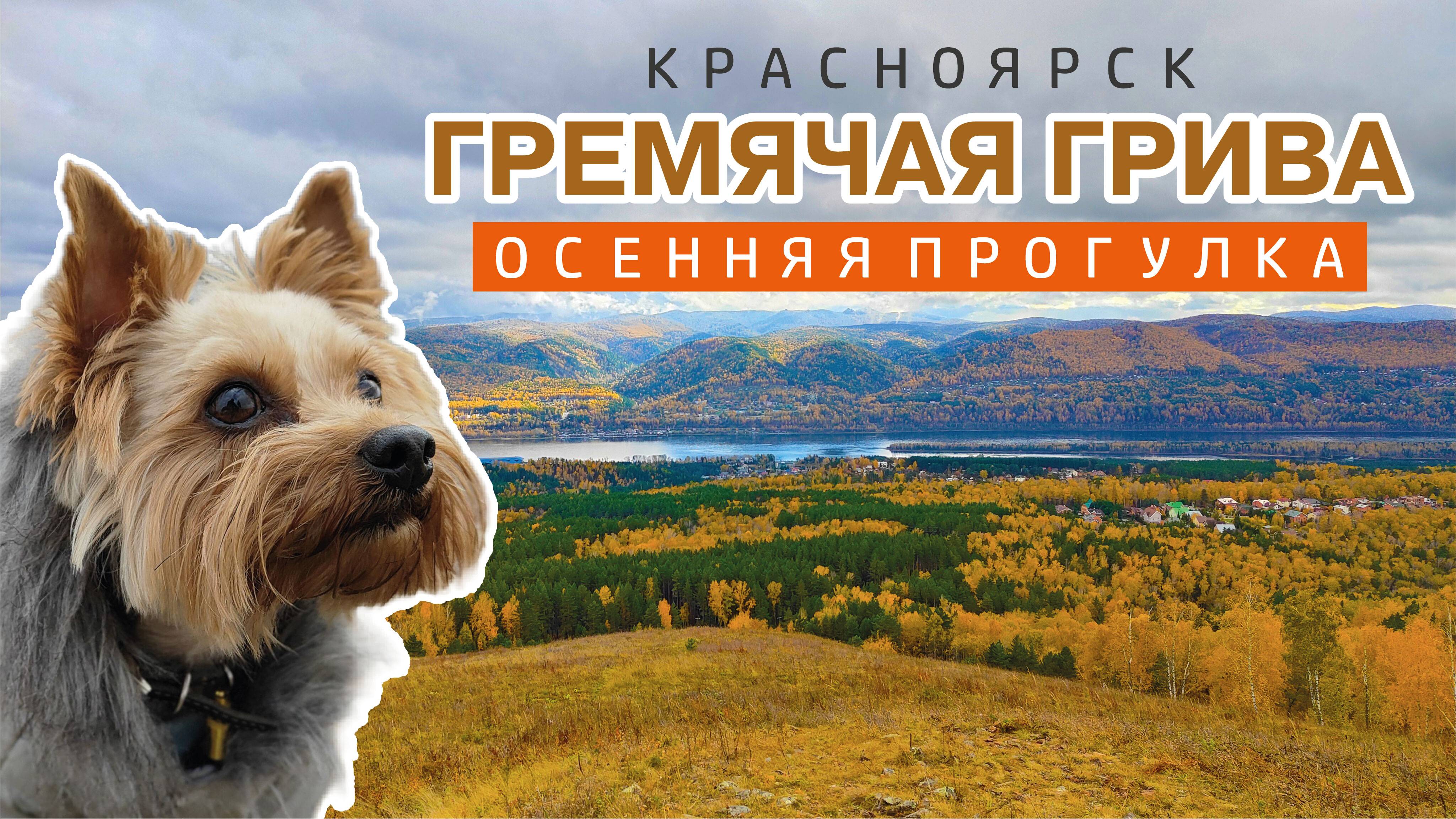 Гремячая грива 28.09.2024
