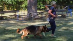 Вольфенкрафт Дара. 10.07.21. Моно в Тольятти. Проверка поведения