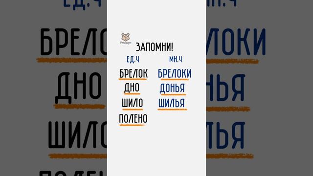 Множественное число | #русскийязык #русскийязыкегэ #егэрусскийязык