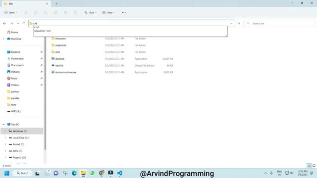 Dart SDK and Visual Studio Code Installation@arvindprogramming