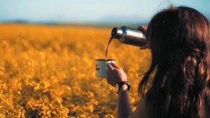 5271944-hd_1920_1080_25fps