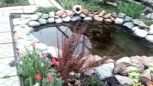 Мой сад Бишкек. Весна 2020.